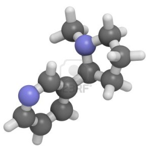 molécule de nicotine